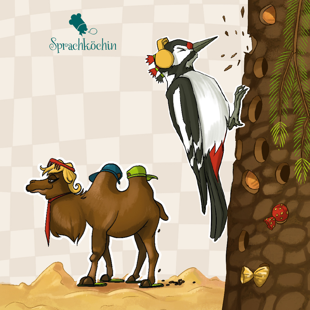 animal collection 4